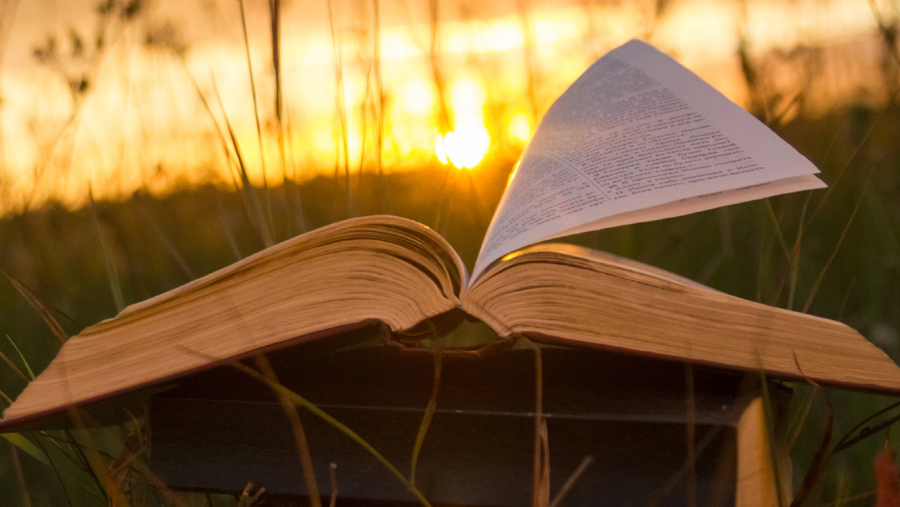 libro abierto en jardín